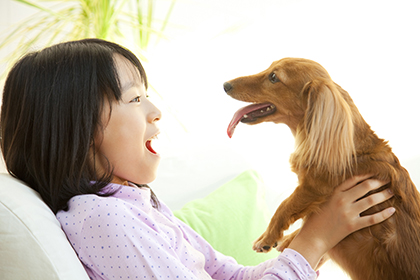 ペットのこれからの健康を考えています